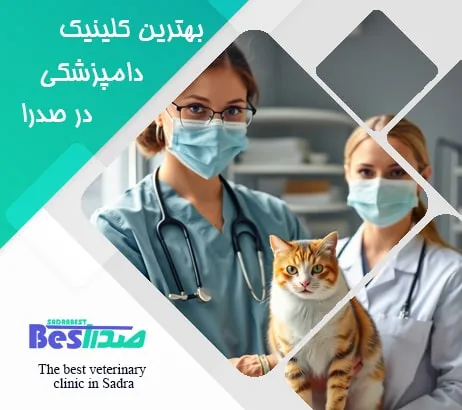 محیط تمیز و بهداشتی یک کلینیک دامپزشکی