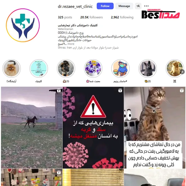 اینستاگرام کلینیک دامپزشکی دکتر نیما رضایی صدرا