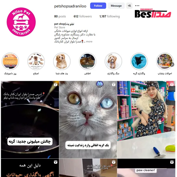 اینستاگرام پت‌شاپ نیلو صدرا