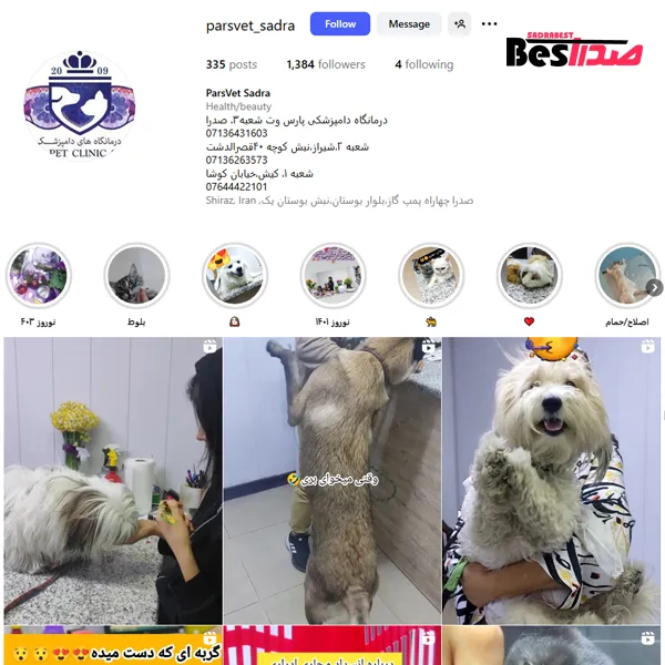 اینستاگرام کلینیک دامپزشکی پارس وت صدرا